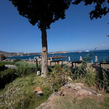 Splendid Near Beach In